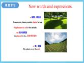 冀教版英语八下 Unit 2 Lesson 8 课件