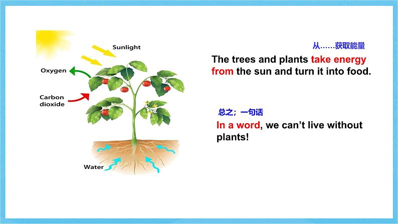 冀教版英语八下 UNIT2 Lesson 8 课件第7页