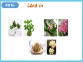 冀教版英语八下 Unit 2 Lesson 12 课件