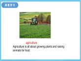 冀教版英语八下 Unit 2 Lesson 12 课件