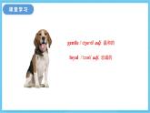冀教版英語八下 Unit 3 Lesson 13 課件