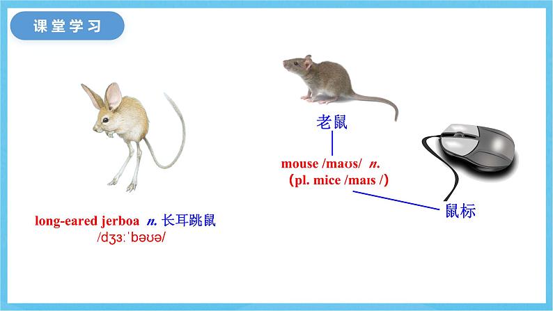 冀教版英语八下 UNIT3 Lesson 14 课件第4页