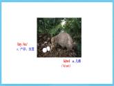 冀教版英语八下 Unit 3 Lesson 14 课件