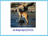冀教版英语八下 Unit 3 Lesson 17 课件