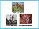 冀教版英語八下 Unit 6 Lesson 32 課件