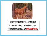 冀教版英語八下 Unit 6 Lesson 32 課件
