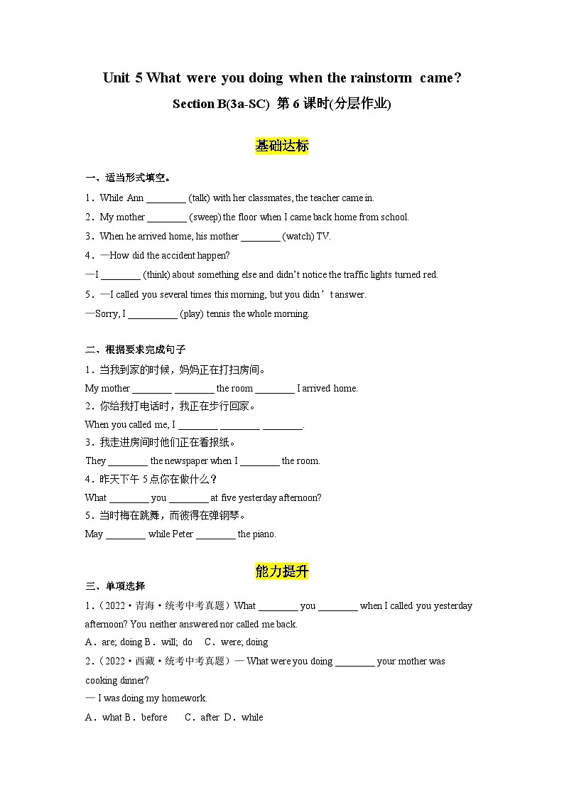 人教版英语八下 Unit 5 What were you doing when the rainstorm came 第6课时 Section B 3a-SC 分层练习（原卷）第1页
