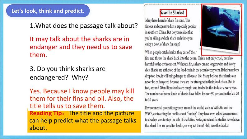 人教版英语九年级全册 Unit 13 We're trying to save the earth! Section A 3a-3b 阅读课 课件第6页