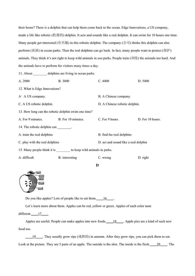 2024～2025学年河南省驻马店市驿城区第二初级中学七年级上12月月考英语试卷(含答案)第3页