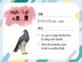 2024年人教版-七年級下冊-單詞課-Unit 1 課件