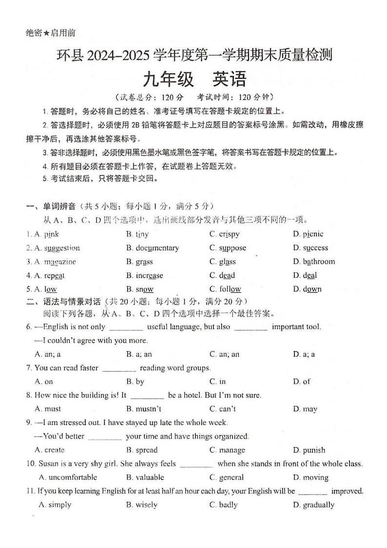 甘肃省庆阳市环县2024-2025学年九年级上学期期末英语试题第1页