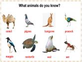 Unit 1 Animal Friends（第1課時）Opening page-Section A（1a-1d） - 七年級英語下冊 同步教學課件+同步練習（人教版2024）