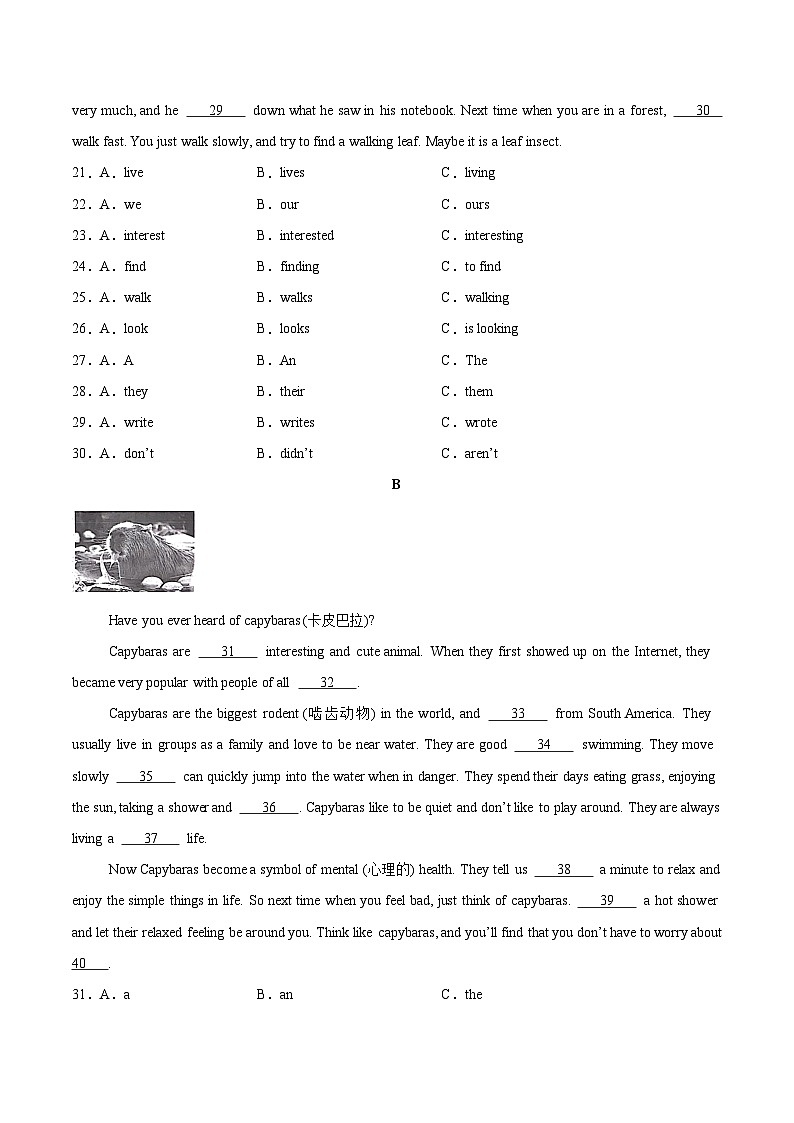 Unit 1 第3课时 Section A（Grammar Focus）（练习）第3页