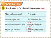 Unit 1 Animal Friends（第3課時）Section A（Grammar Focus） - 七年級英語下冊 同步教學課件+同步練習（人教版2024）