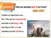 Unit 1 Animal Friends（第4課時）Section B（1a-1d） - 七年級英語下冊 同步教學課件+同步練習（人教版2024）