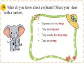 Unit 1 Animal Friends（第4課時）Section B（1a-1d） - 七年級英語下冊 同步教學課件+同步練習（人教版2024）