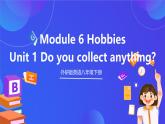 外研版英语八下 Module 6 Unit 1《Hobby copy》课件+素材