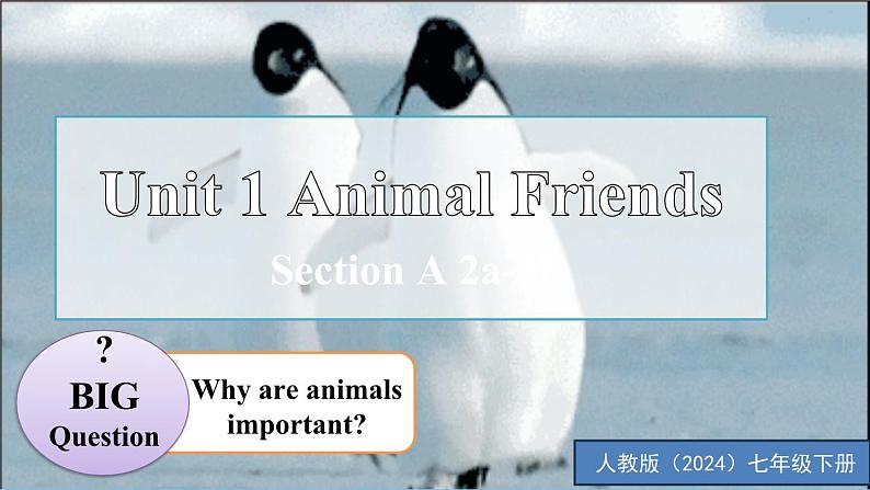 Unit 1 Animal Friends第2课时 Section A 2a-2f 同步课件(人教版2024)第1页