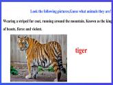 滬教牛津版（六三制）英語(yǔ)八下Unit 5 《save the endangered animals》period 1 reading I  課件+教案+分層練習(xí)（含答案）+音頻