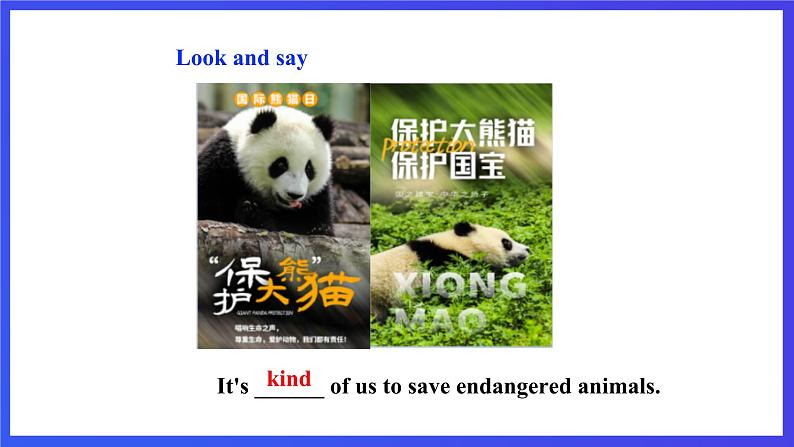 沪教牛津版（六三制）英语八下Unit 5 《save the endangered animals》period 3 Grammar课件第7页