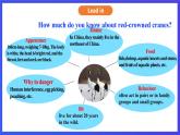 滬教牛津版（六三制）英語(yǔ)八下Unit 5 《save the endangered animals》period 5 More practice& corner culture 課件+教案+分層練習(xí)（含答案）+音頻