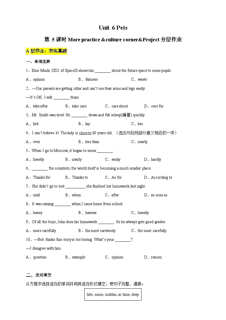 沪教牛津版（六三制）英语八下 Unit 6《 Pets》第5课时More practice  分层练习（含答案）第1页