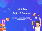 沪教牛津版（六三制）英语八下 Unit 6《 Pets》第3课时Grammar 课件+教案+分层练习（含答案）