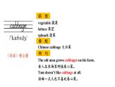 Unit 4 Section A（词汇详解课件）2024-2025学年人教版七年级英语下册