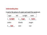 新外研版初中英语七上Unit6 Starting out Understanding ideas课件