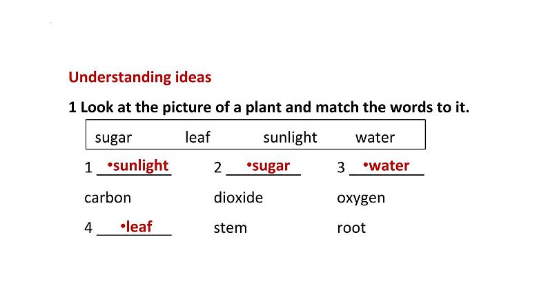 新外研版初中英语七上Unit6 Starting out Understanding ideas课件第4页