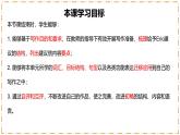 Unit 2 No Rules, No Order（第5課時(shí)）Section B（2a-2c） - 七年級(jí)英語下冊(cè) 同步教學(xué)課件+同步練習(xí)（人教版2024）