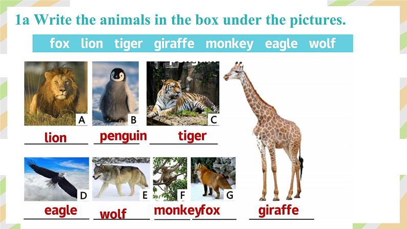 Unit 1 Animal Friends Period 1 Section A（1a-1d） - 七年级英语下册 同步教学课件（人教版2024）第4页