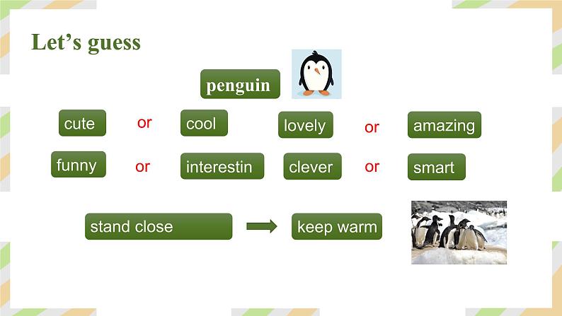 Unit 1 Animal Friends Period 3 Section A（2a-2f） - 七年级英语下册 同步教学课件（人教版2024）第5页