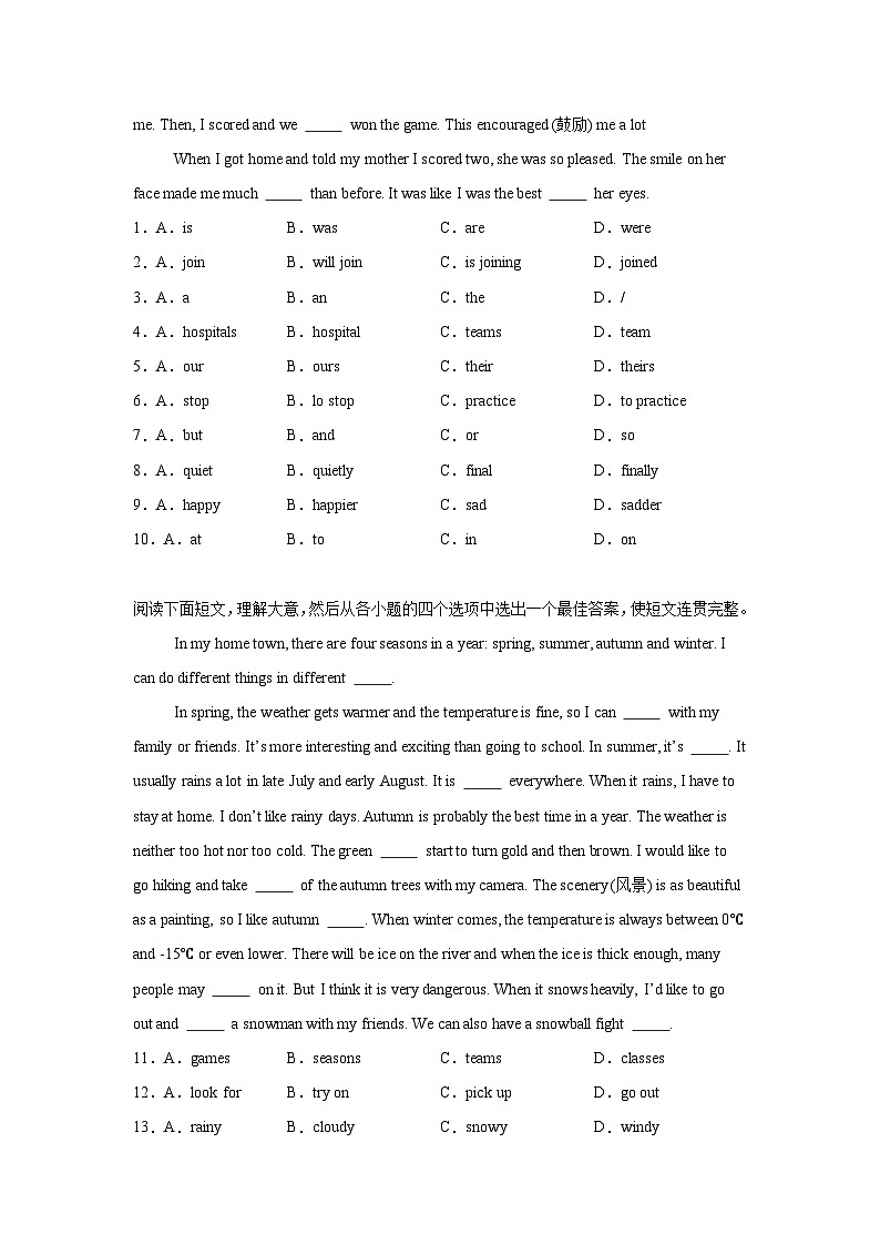 陕西省渭南市大荔县胜达实验初级中学2024-2025学年八年级上学期期末检测 英语试题（含解析）第3页