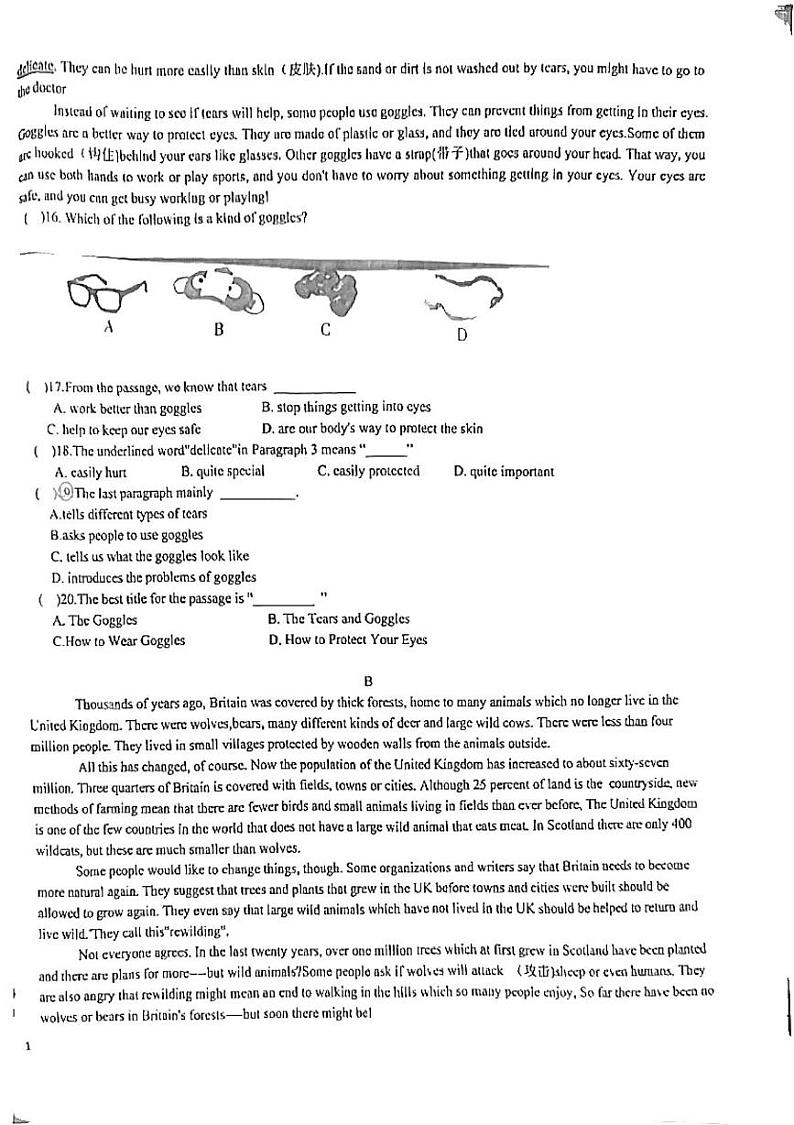 湖北省黄石市有色二中2024-2025学年上学期九年级十月阶段性测试英语卷第2页