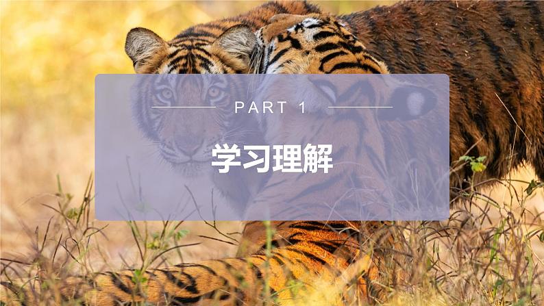 人教版2024七年级下册英语Unit1 Animal Friends L1话题学习 课件第7页