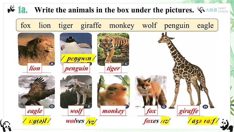 人教版2024七年级下册英语Unit1 A 1a-1d&Pronunciation 课件第8页