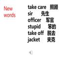 Module 1 Travel Unit 2 It’s a long story. （課件）外研版英語九年級下冊