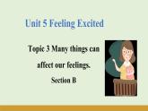 仁爱科普版八年级英语下册课件 Unit 5 Topic 3 Section B