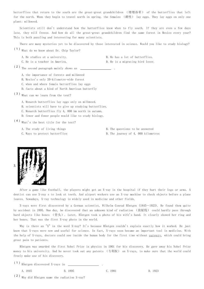 2024～2025学年辽宁沈阳铁西区初三(上)期中英语试卷(含解析)第2页