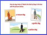 滬教牛津版（六三制）英語七下 Unit 3 《Our animal friends 》第1課時 Reading I課件+教案+分層練習（含答案） +音頻