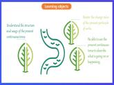 滬教牛津版（六三制）英語(yǔ)七下 Unit 4 《Save the trees 》 第3課時(shí) Grammar課件+教案+分層練習(xí)（含答案）