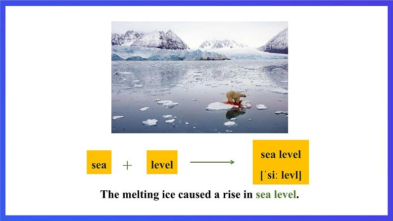 沪教牛津版(六三制)英语九下Module 2  Unit 3 The environment Period 1 Reading I  课件第8页