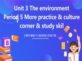 滬教牛津版(六三制)英語九下Unit 3 The environment Period 5 More practice & culture corner & study skill課件+教案+分層練習(xí)+素材