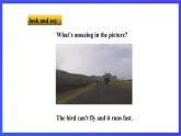 牛津譯林版英語七下Unit5 Amazing things 第一課時Welcome to the unit 課件+教案+練習+素材
