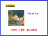牛津譯林版英語(yǔ)七下Unit8 Pets 第一課時(shí) Welcome to the unit 課件+教案+練習(xí)+素材