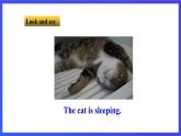 牛津譯林版英語(yǔ)七下Unit8 Pets 第一課時(shí) Welcome to the unit 課件+教案+練習(xí)+素材