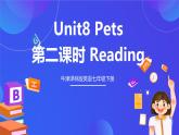 牛津译林版英语七下Unit8 Pets 第二课时 Reading 课件+教案+练习+素材