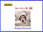 牛津译林版英语七下Unit8 Pets 第二课时 Reading 课件+教案+练习+素材