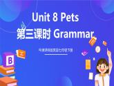牛津译林版英语七下Unit8 Pets 第三课时 Grammar 课件+教案+练习
